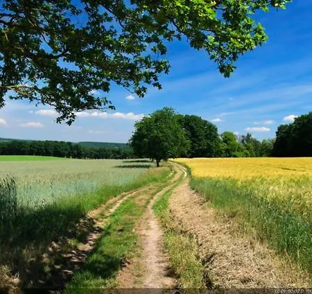 Сasa de vacaciones Peace&pink Maison Zen&cocon Stylé A 5 Mn Des Vagues De Wimereux *