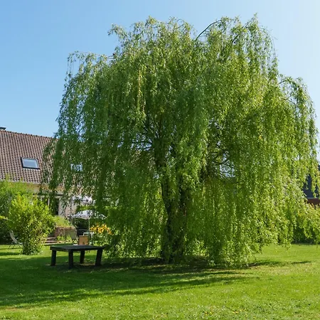 Сasa de vacaciones Peace&pink Maison Zen&cocon Stylé A 5 Mn Des Vagues De Wimereux